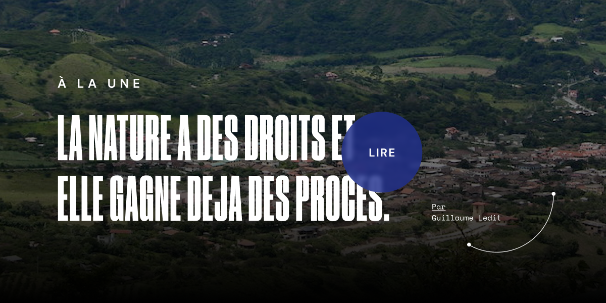 L'ADN — Refonte éditoriale