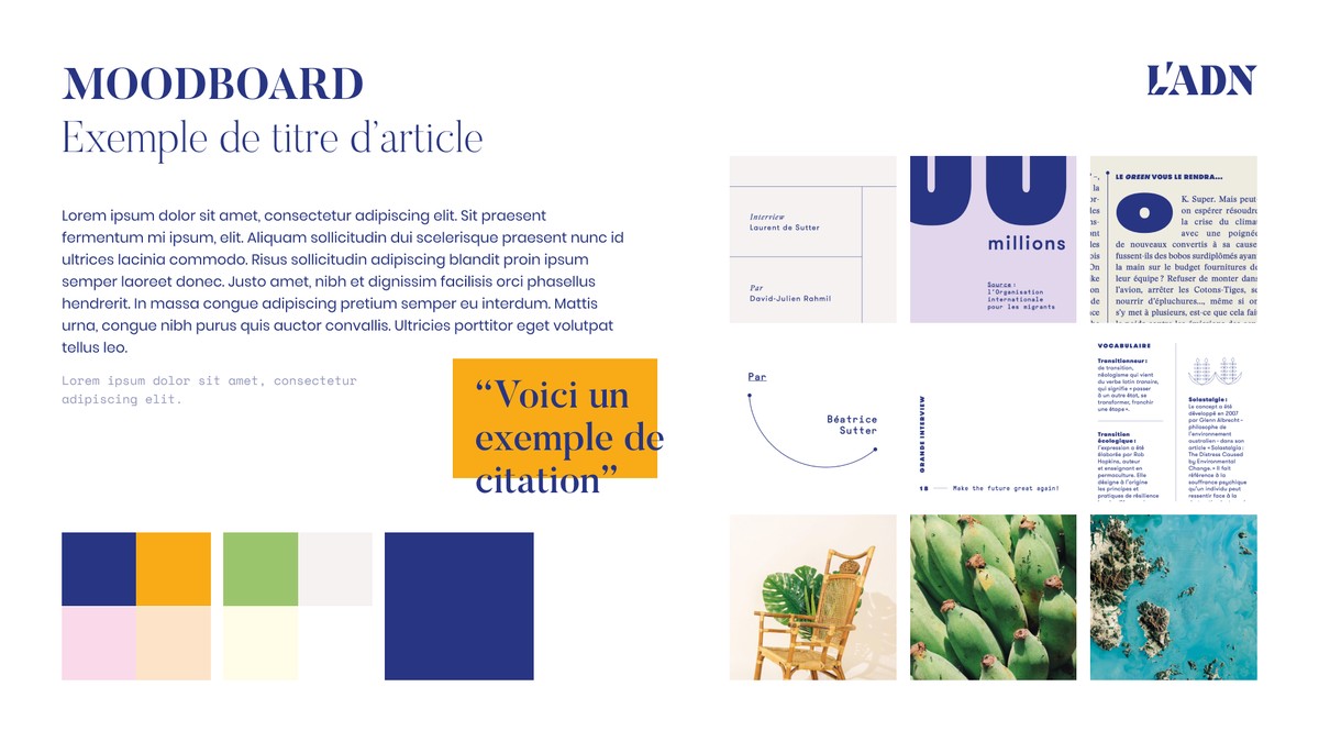 Le moodboard : registre typographique, palette et images de référence