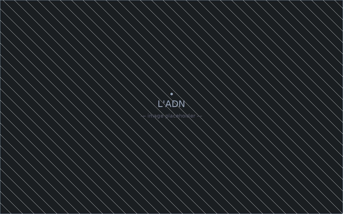 L'ADN — Refonte éditoriale